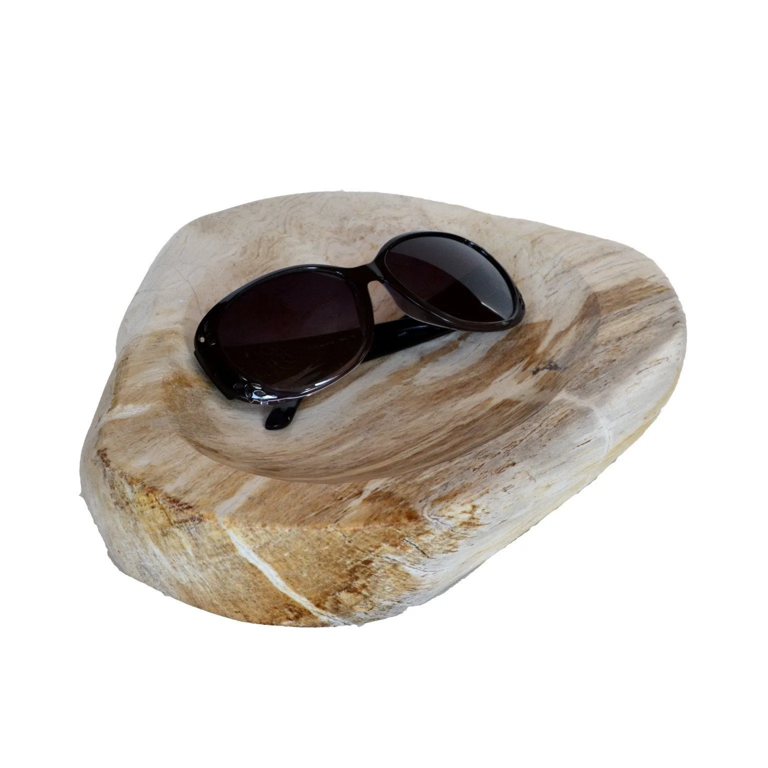 Soft Fawn Petrified Wood Bowl