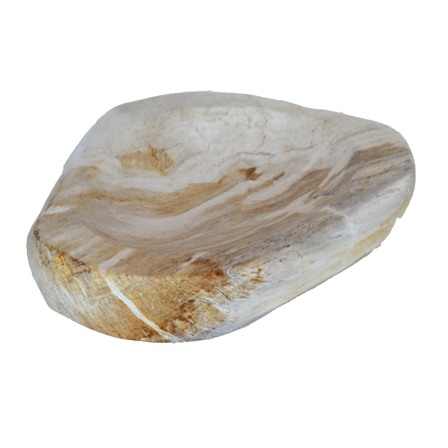 Soft Fawn Petrified Wood Bowl